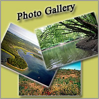 IBA Photo Gallery