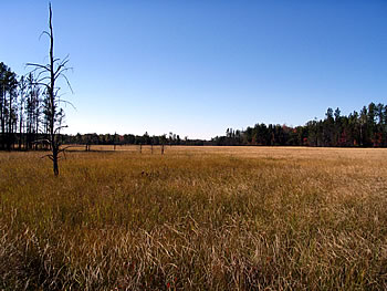 Bear Bluff Meadow, photo by Andy Paulios