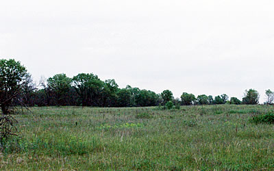 Fort McCoy/Robinson Creek barrens, photo by Yoyi Steele