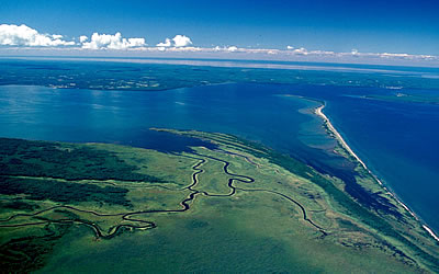 Kakagon/Bad River wetland complex, photo by Ted Cline and James Meeker