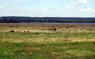 Mead State Wildlife Area, photo by Andy Paulios