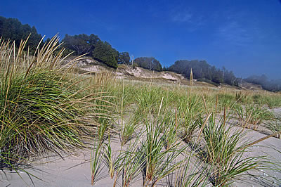 Whitefish Dunes, photo by Robert Howe