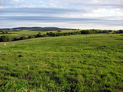 Pecatonica River Prairie, photo by Andy Paulios