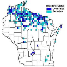 Black-throated Blue Warbler distribution map