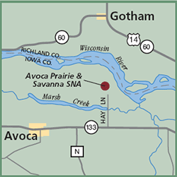 Avoca Prarie and Savanna State Natural Area map
