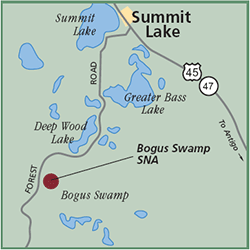 Bogus Swamp State Natural Area map