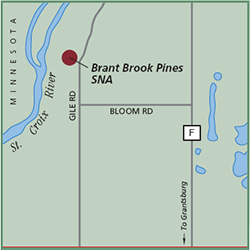 Brant Brook Pines State Natural Area map