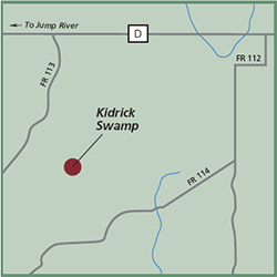 Kidrick Swamp map