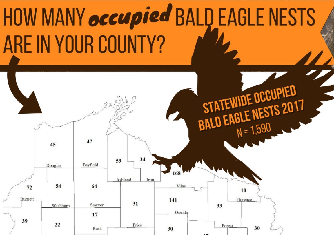 Bald Eagle nests reach another record high in 2017 – Wisconsin Bird